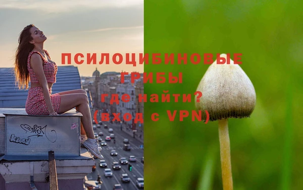 MDMA Premium VHQ Алексеевка