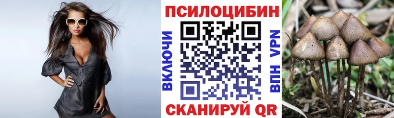 где можно купить   МЕГА зеркало  Псилоцибиновые грибы мицелий  Тольятти 